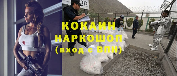 твердый Бородино